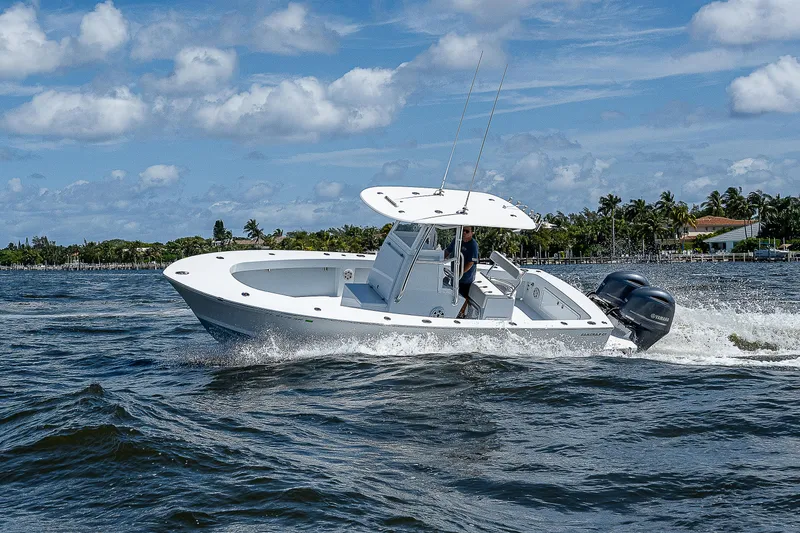 Slide: The Image of Bertram 25 Moppie 1969 - 77