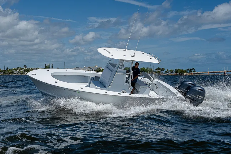 Slide: The Image of Bertram 25 Moppie 1969 - 78