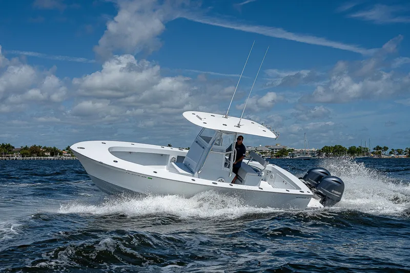 Slide: The Image of Bertram 25 Moppie 1969 - 79