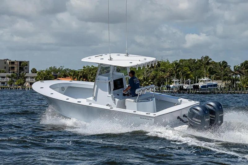 Slide: The Image of Bertram 25 Moppie 1969 - 82