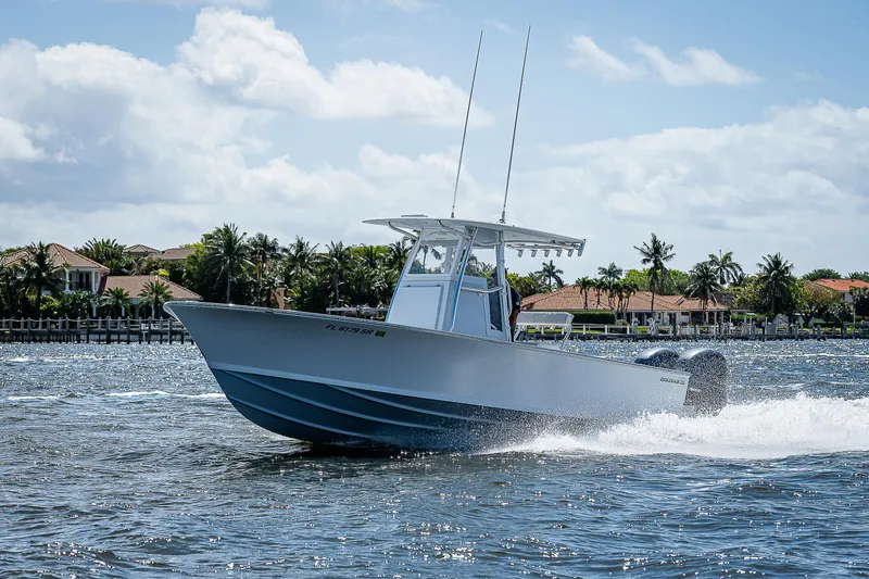 Slide: The Image of Bertram 25 Moppie 1969 - 84