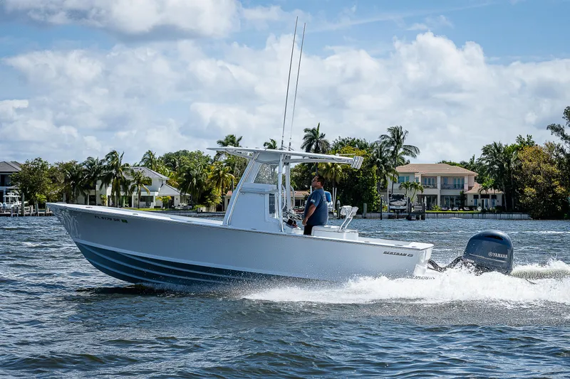 Slide: The Image of Bertram 25 Moppie 1969 - 87