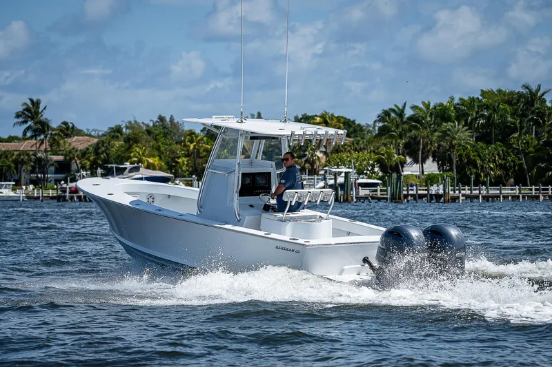 Slide: The Image of Bertram 25 Moppie 1969 - 90