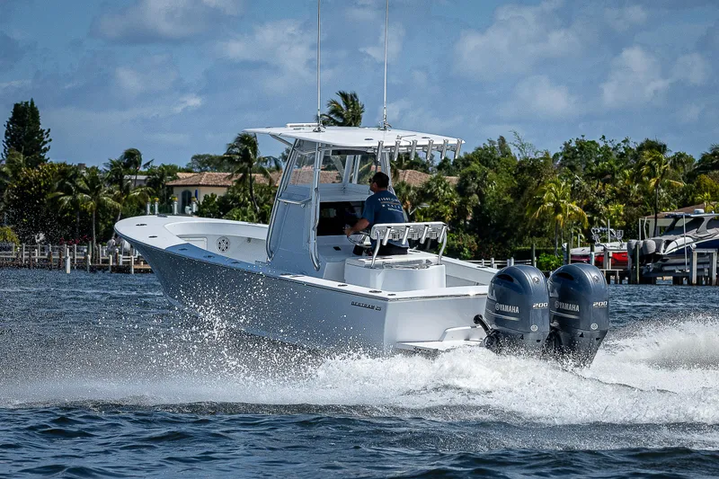 Slide: The Image of Bertram 25 Moppie 1969 - 95