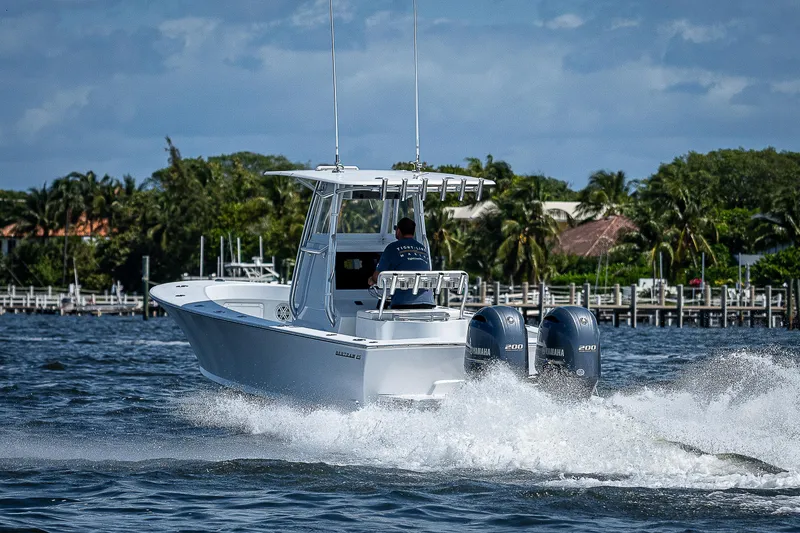 Slide: The Image of Bertram 25 Moppie 1969 - 96