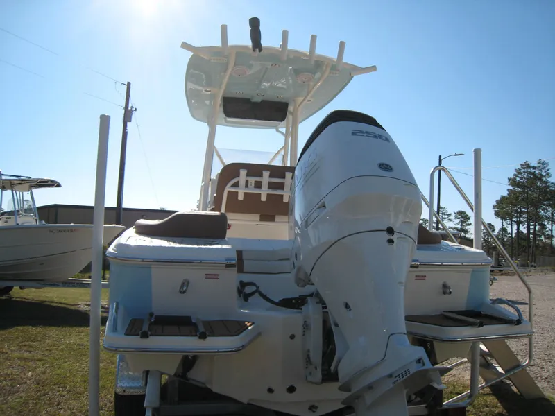 Slide: The Image of Pioneer 222 Islander 2024 - 10