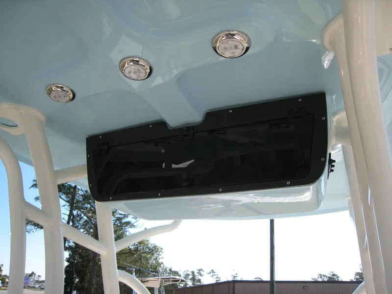 Slide: The Image of Pioneer 222 Islander 2024 - 17