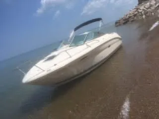 The Image of 2007 Sea Ray 215 Weekender boat beached on a sandy shore. - 0