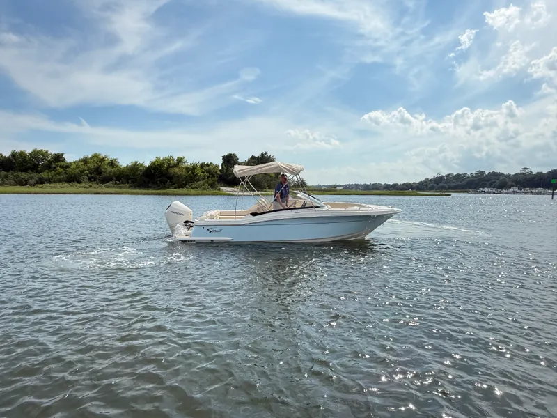 The Image of Scout 220 Dorado 2027 - 0