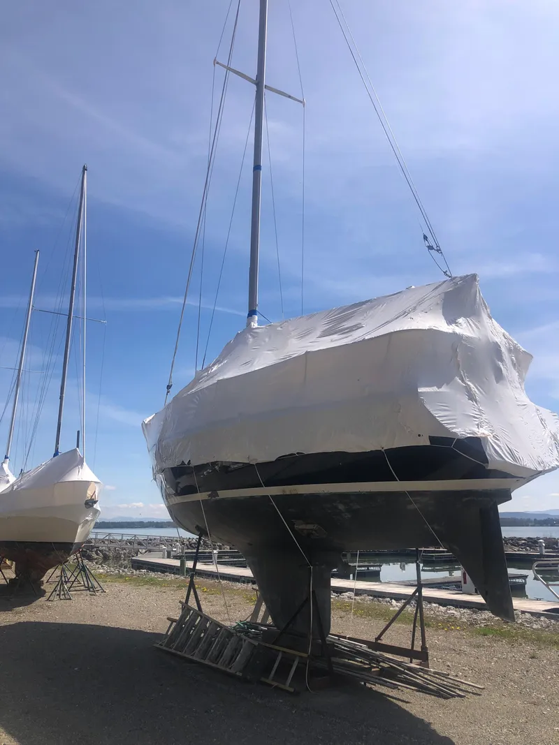 Slide: The Image of 1974 Tartan 30 sailboat covered and docked on a sunny day. - 18