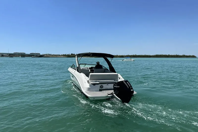 Slide: The Image of Sea Ray 250 SDX Outboard 2024 - 3