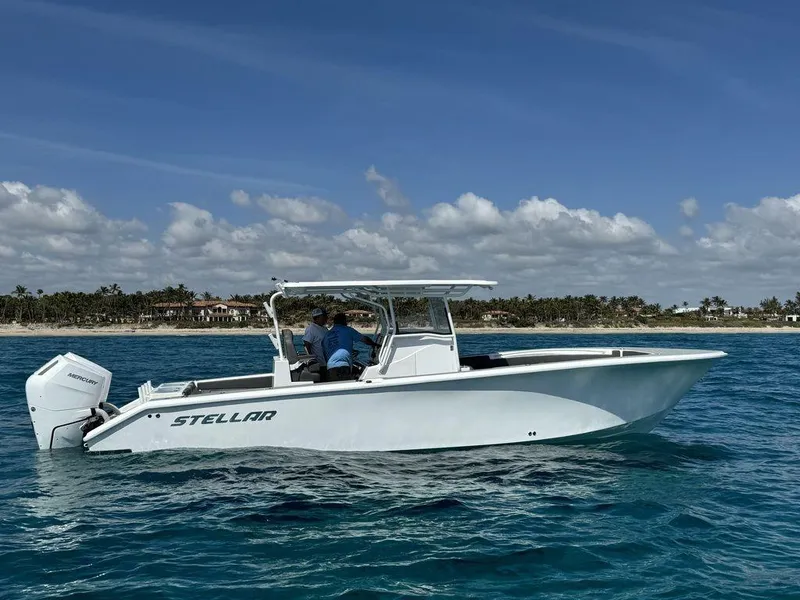 Slide: The Image of 2024 Custom 335 boat cruising on clear blue water near a scenic coastline. - 10