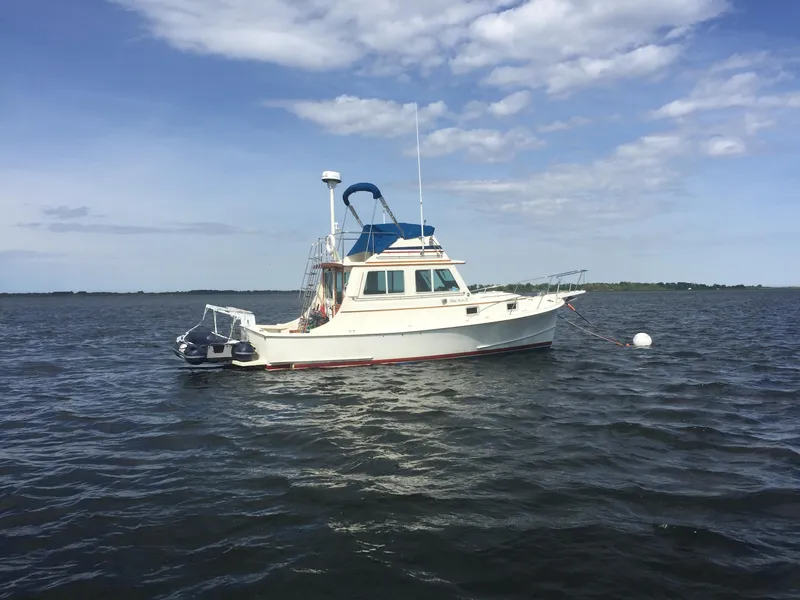 Slide: The Image of Blue Seas Flybridge Cruiser 1989 - 51