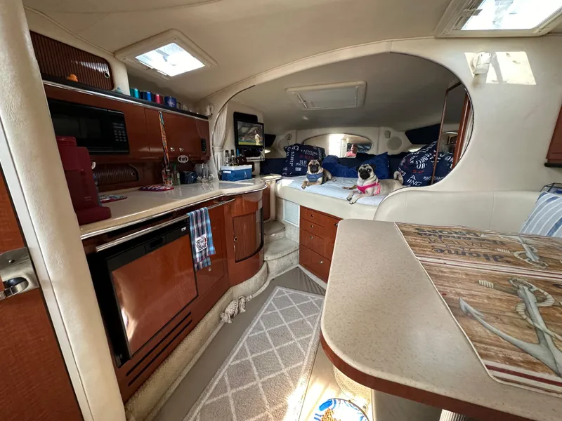 Slide: The Image of Interior of 2002 Sea Ray 310 Sundancer with cozy cabin and two dogs on bed. - 21