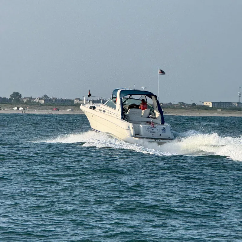 Slide: The Image of 2002 Sea Ray 310 Sundancer cruising on open water near the shoreline. - 42