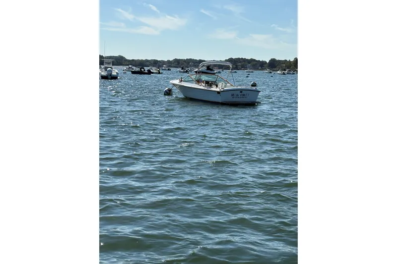 Slide: The Image of 1978 Lyman 24 Sportsman boat on a sunny lake with other boats in the background. - 19
