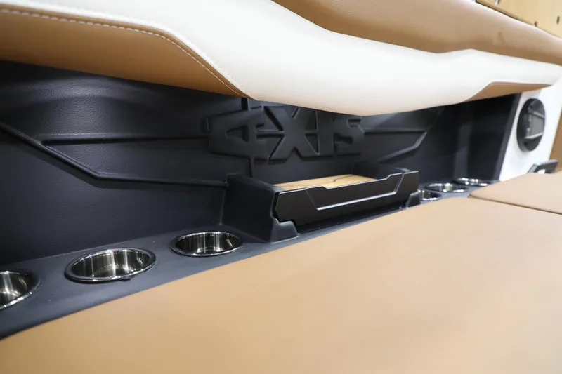 Slide: The Image of Axis T235 2024 - 17