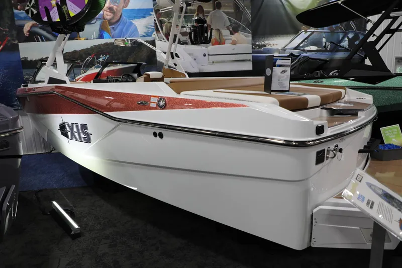 Slide: The Image of Axis T235 2024 - 7