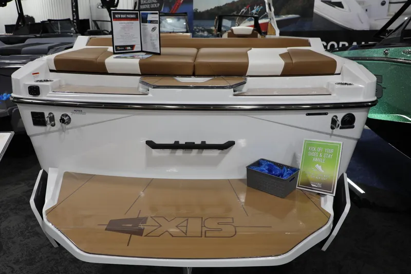 Slide: The Image of Axis T235 2024 - 8