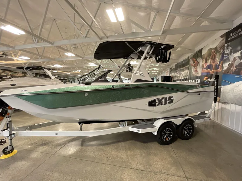 Slide: The Image of Axis T235 2024 - 4