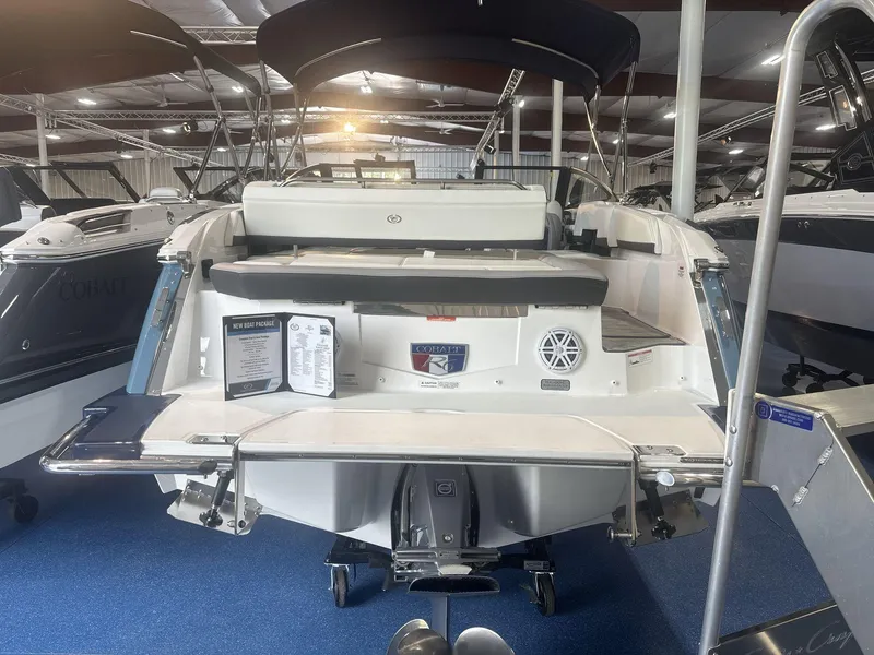 Slide: The Image of Cobalt R6 2024 - 4