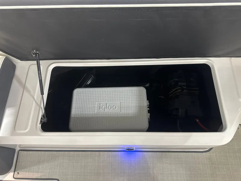 Slide: The Image of Regal LS6 2024 - 26