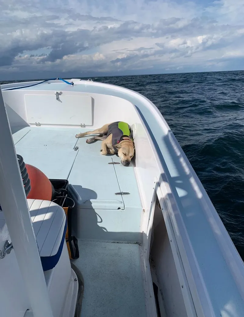Slide: The Image of Dog relaxing on a 1980 Mako 23 boat, wearing a life jacket, with ocean backdrop. - 11