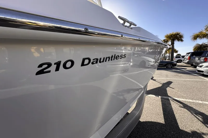 Slide: The Image of Boston Whaler 210 Dauntless 2019 - 7