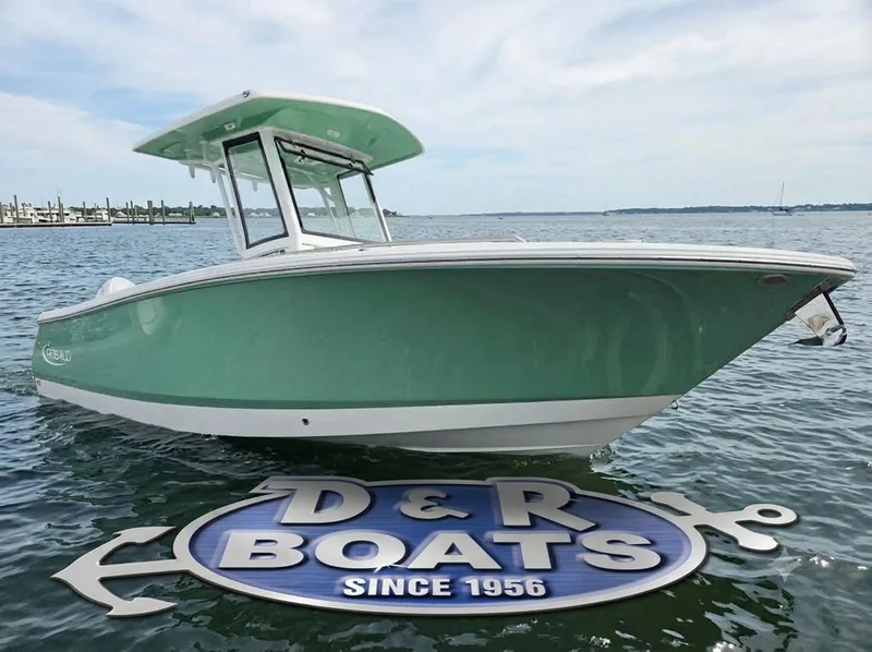The Image of Robalo R250 2027 - 0