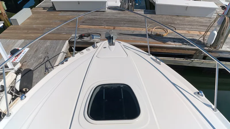 Slide: The Image of Sea Ray 330 Sundancer 2016 - 40