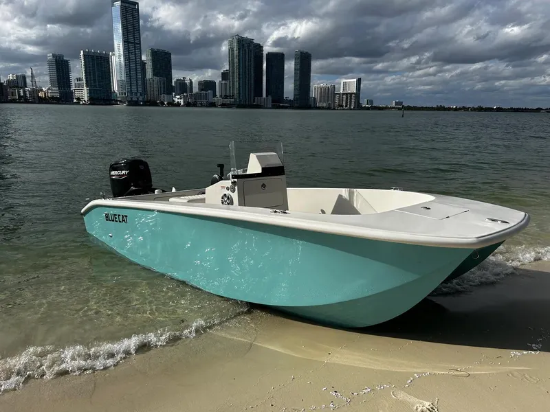 Slide: The Image of BlueCat 17 boat 2024 model on sandy shore with city skyline background. - 0