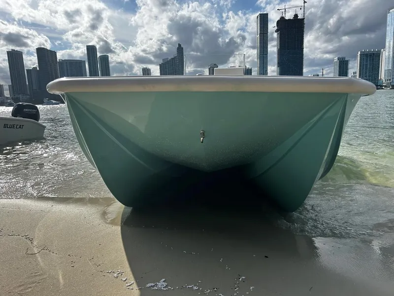 Slide: The Image of BlueCat 17 boat on sandy shore with city skyline in background, 2024 model. - 1