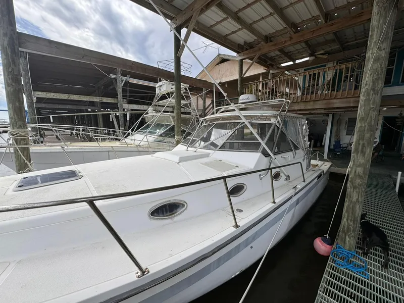 Slide: The Image of 1987 Luhrs Alura boat docked in a covered marina. - 12