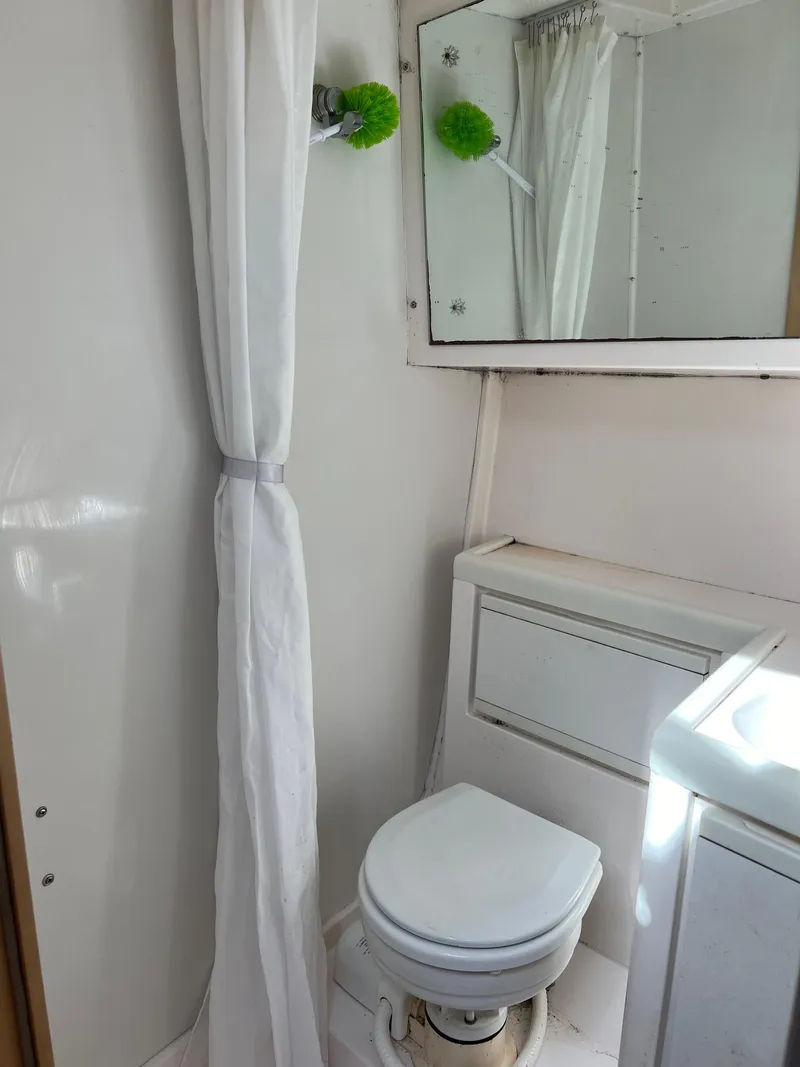 Slide: The Image of Bertram 30 Head - 8