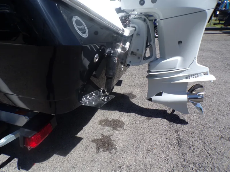 Slide: The Image of 2024 Savannah 210X boat with outboard motor and propeller on trailer. - 10