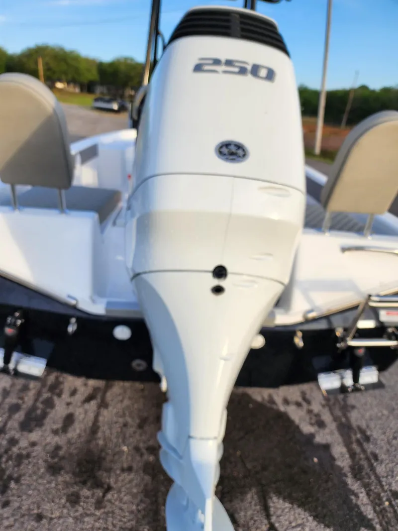 Slide: The Image of 2024 Savannah 210X boat with a 250 horsepower outboard motor. - 25