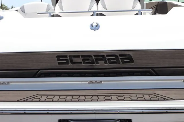 Slide: The Image of Scarab 255 ID 2023 - 10