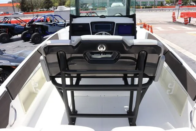 Slide: The Image of Scarab 255 ID 2023 - 12