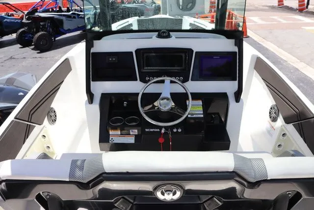 Slide: The Image of Scarab 255 ID 2023 - 13