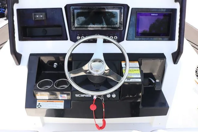 Slide: The Image of Scarab 255 ID 2023 - 14