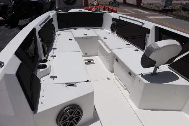 Slide: The Image of Scarab 255 ID 2023 - 17