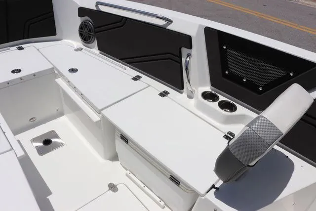 Slide: The Image of Scarab 255 ID 2023 - 19