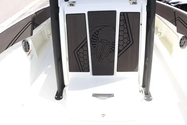 Slide: The Image of Scarab 255 ID 2023 - 21