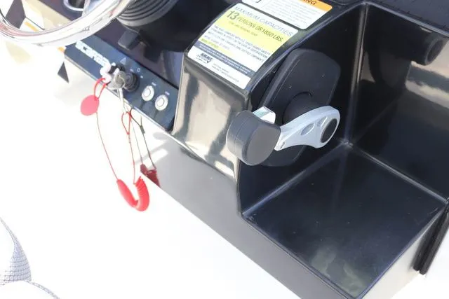 Slide: The Image of Scarab 255 ID 2023 - 24