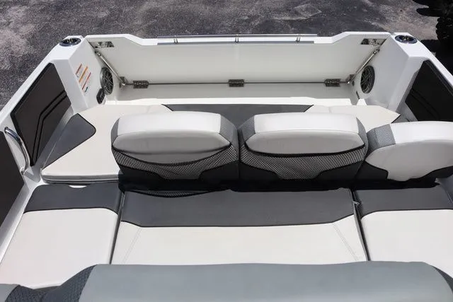 Slide: The Image of Scarab 255 ID 2023 - 25