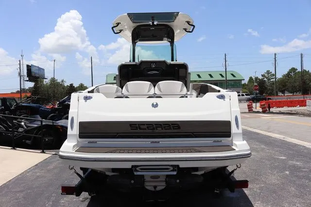 Slide: The Image of Scarab 255 ID 2023 - 8