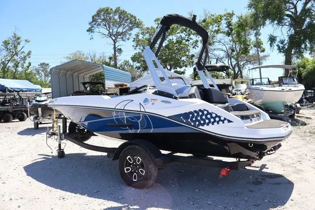 Slide: The Image of Scarab 165 ID 2023 - 3