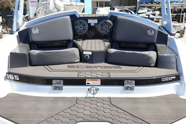 Slide: The Image of Scarab 165 ID 2023 - 9