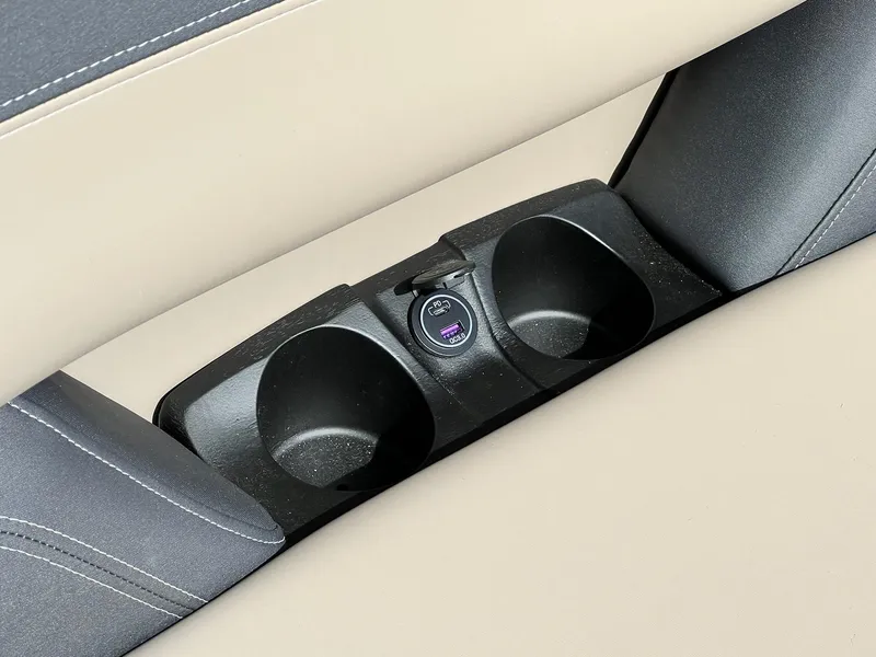 Slide: The Image of Sylvan L Series L3 Party Fish 2024 - 10