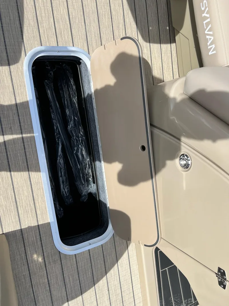 Slide: The Image of Sylvan L Series L3 Party Fish 2024 - 11